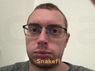 Snakefl