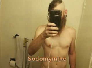 Sodomymike