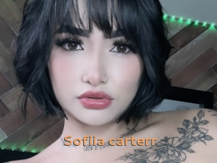 Sofiia_carterr