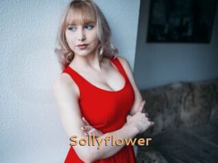 Sollyflower