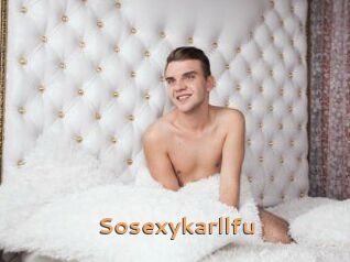 Sosexykarllfu