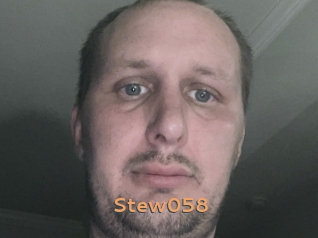 Stew058