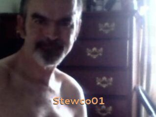 Stewco01