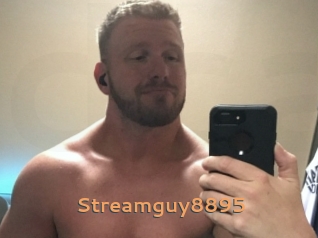 Streamguy8895