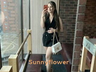 Sunnyflower