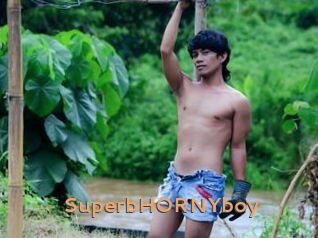 SuperbHORNYboy