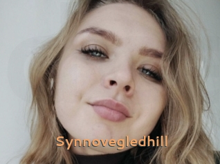 Synnovegledhill