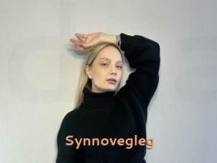 Synnovegleg