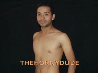 THEHORNYDUDE