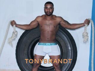 TONYBRANDT