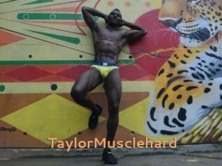 TaylorMusclehard