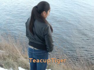 TeacupTiger