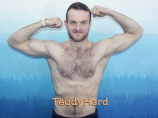 TeddyHard Du Cul A Gogo