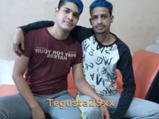 Tegusta29xx