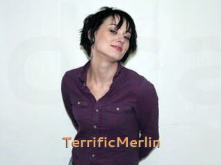 TerrificMerlin