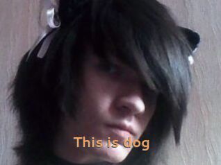 This_is_dog