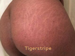 Tigerstripe