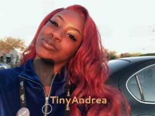 TinyAndrea
