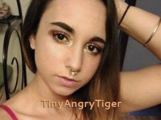 TinyAngryTiger