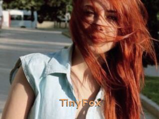 TinyFox