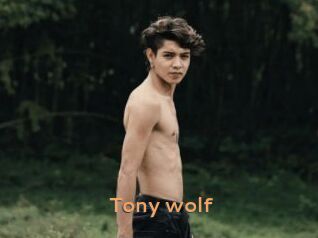 Tony_wolf