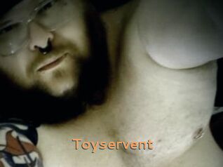 Toyservent
