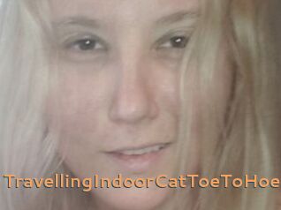 TravellingIndoorCatToeToHoe