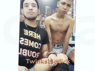Twinksbigdick