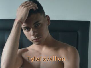 Tyler_stallion