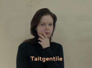 Taitgentile