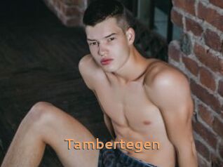 Tambertegen