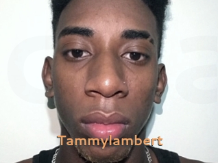 Tammylambert