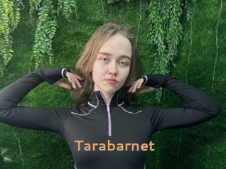 Tarabarnet