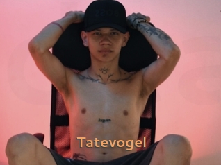 Tatevogel