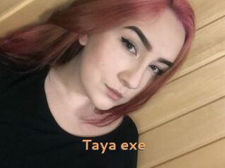 Taya_exe
