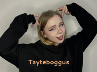 Tayteboggus