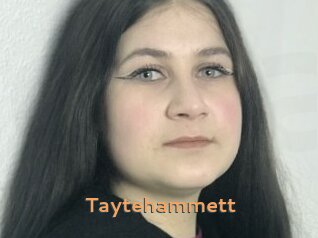 Taytehammett