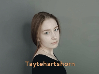 Taytehartshorn