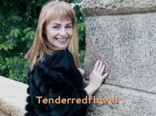 Tenderredflower