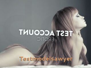 Testmodelsawyer
