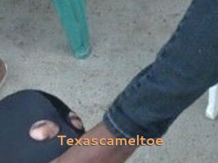Texascameltoe