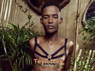 teylorray Du Cul A Gogo