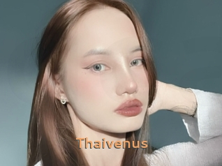 Thaivenus