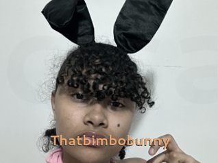 Thatbimbobunny