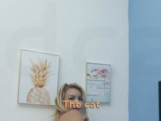 The_cat