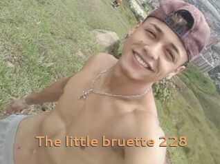 The_little_bruette_228