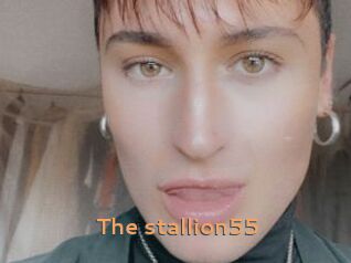 The_stallion55