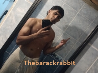Thebarackrabbit