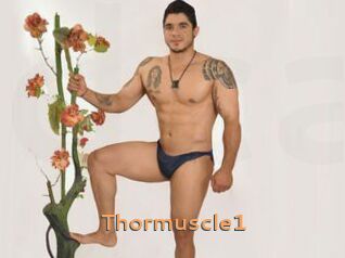 Thormuscle1