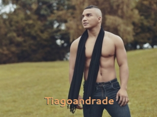 tiagoandrade Du Cul A Gogo